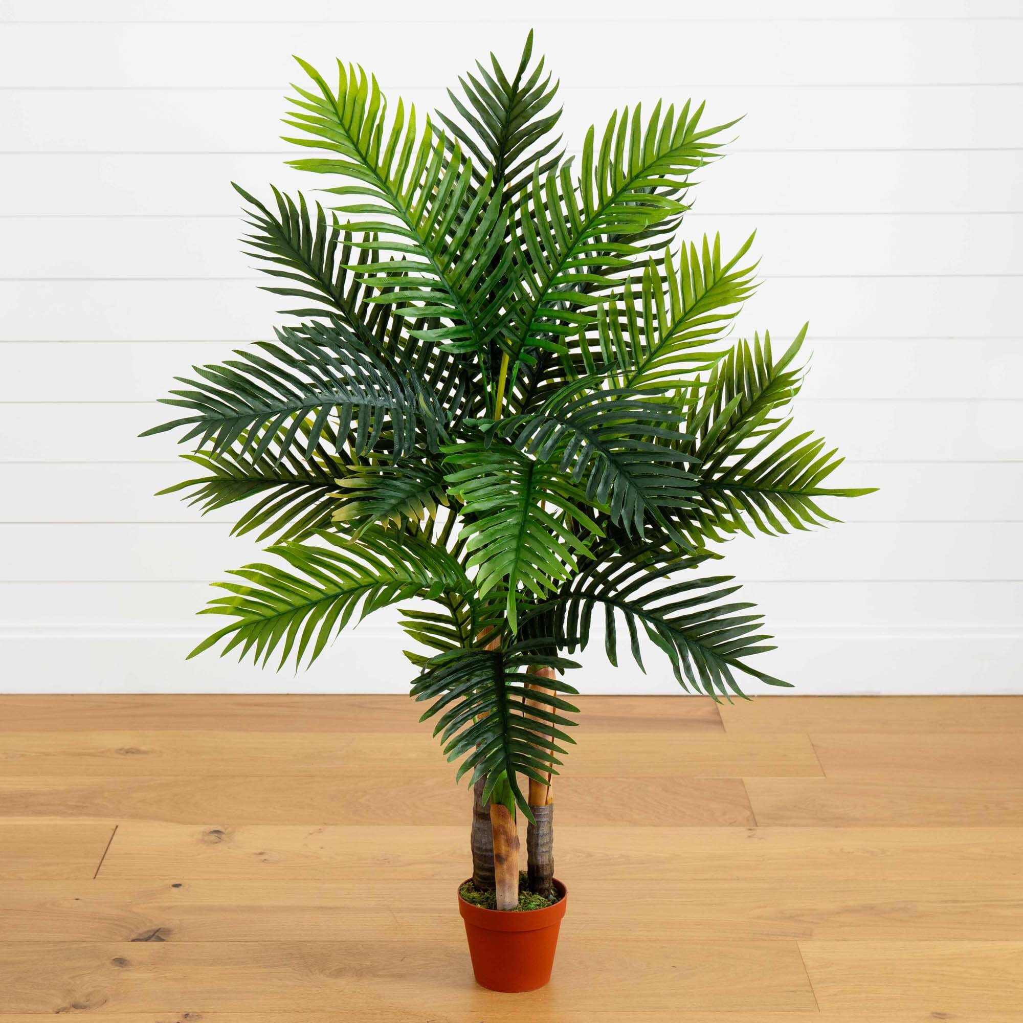 areca palm brown le 4' Areca Palm Tree (Real Touch)