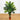 4’ Areca Palm Tree (Real Touch)