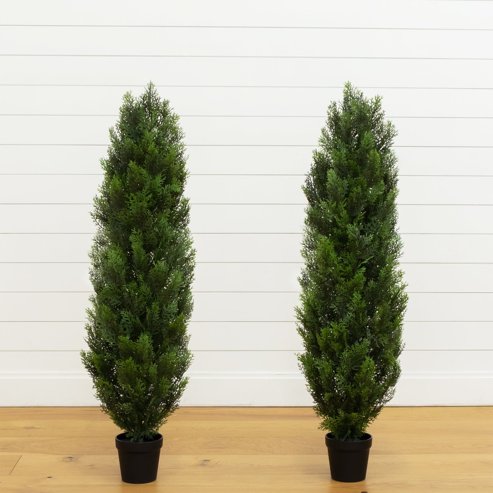 【レアモノ】(伊)プレミアータ Uチップ　カーフSIZE5.5 シューツリー付 4' Artificial Cedar Tree UV Resistant (Indoor/Outdoor) - Set of 2