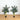 4’ Artificial Double Stalk Golden Cane Palm Tree- Set of 2