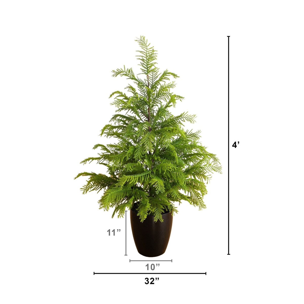 4' Artificial Real Touch Goldcrest Christmas Tree with in Black Decorative Planter