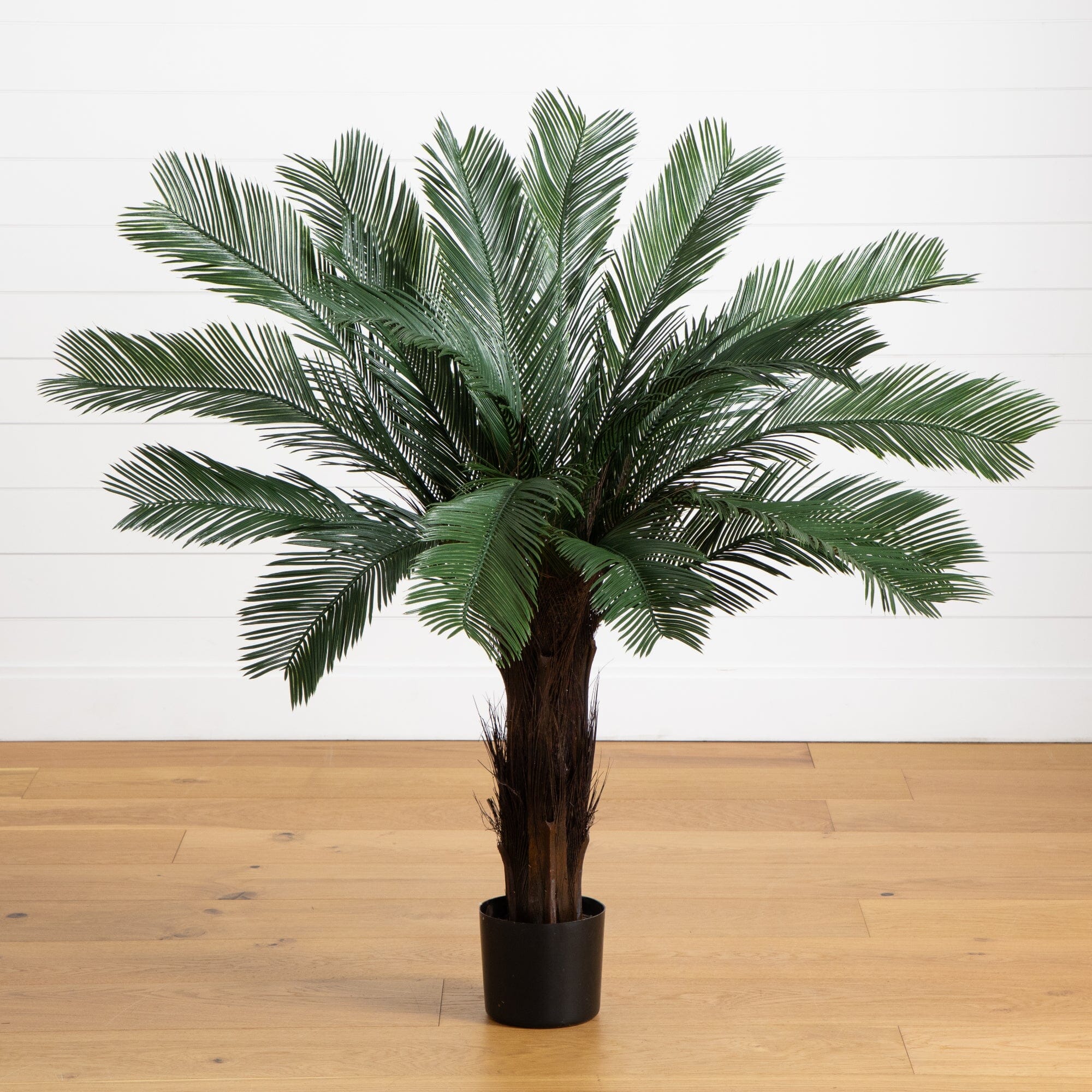 4' Cycas Tree UV Resistant (Indoor/Outdoor) | Nearly Natural