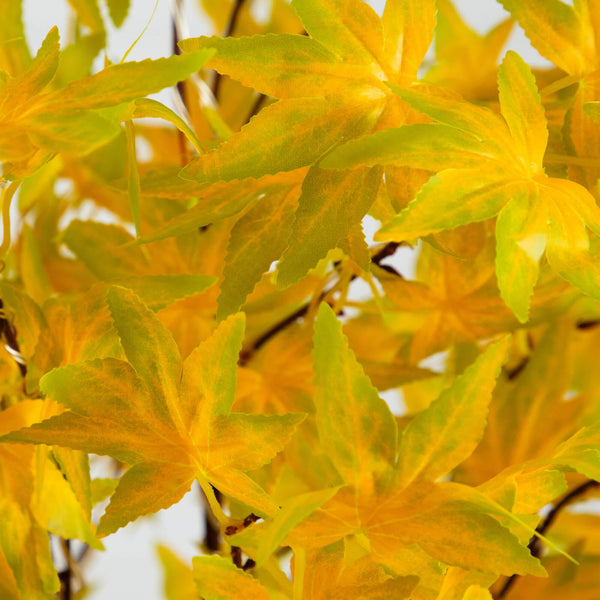 4' Pre-Lit Yellow Autumn Maple Artifical Fall Tree with 150 Warm White LED Lights