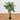 4' UV Resistant Artificial Double Robellini Palm Tree (Indoor/Outdoor)