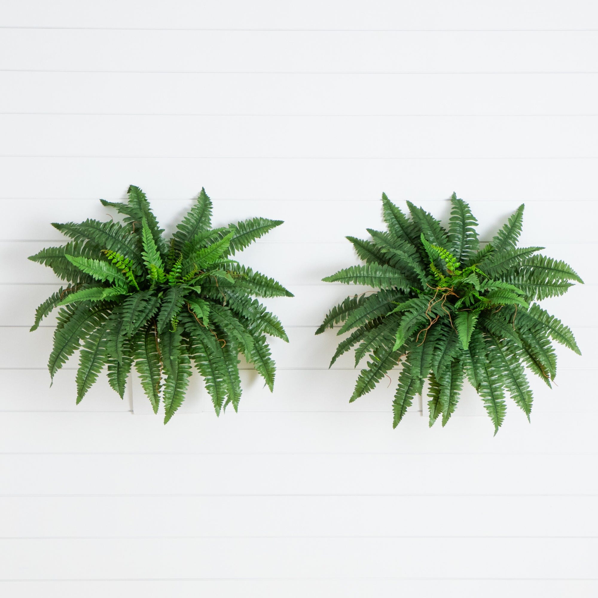 Nearly Natural 40-in Boston Fern (Set of 2)