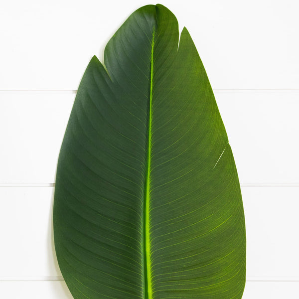 40" Artificial Travelers Palm Stems- Set of 6