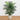 4.5’ Areca Palm Artificial Tree in Sand Colored Planter