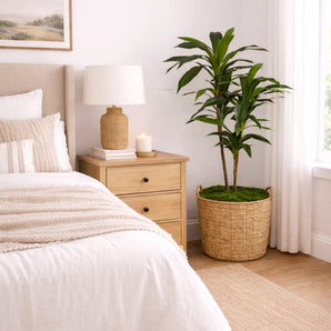 48" Dracaena Silk Plant (Real Touch)