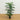 5’ Areca Artificial Palm Tree UV Resistant (Indoor/Outdoor)