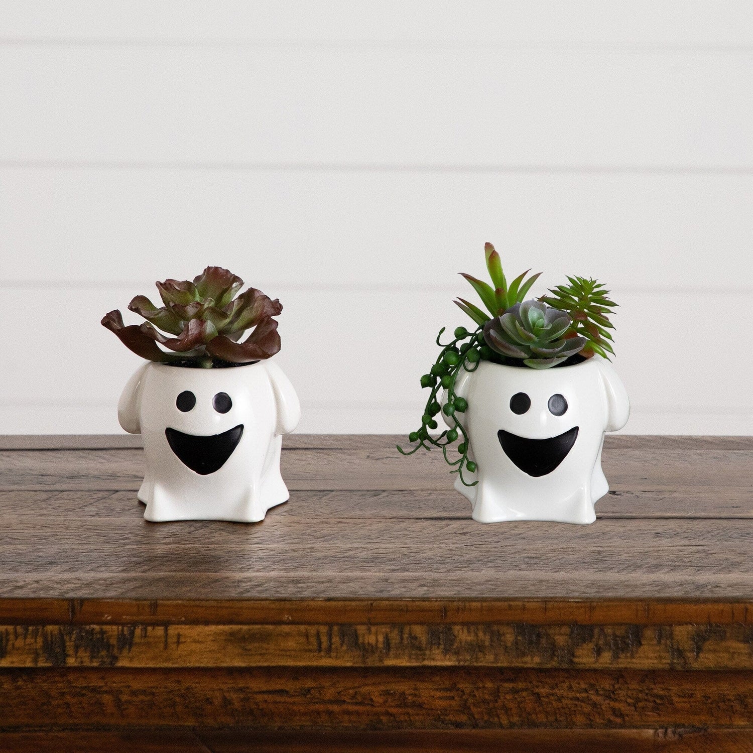 5” Artificial Halloween Succulent Garden in Happy Ghost Planter -Set of 2