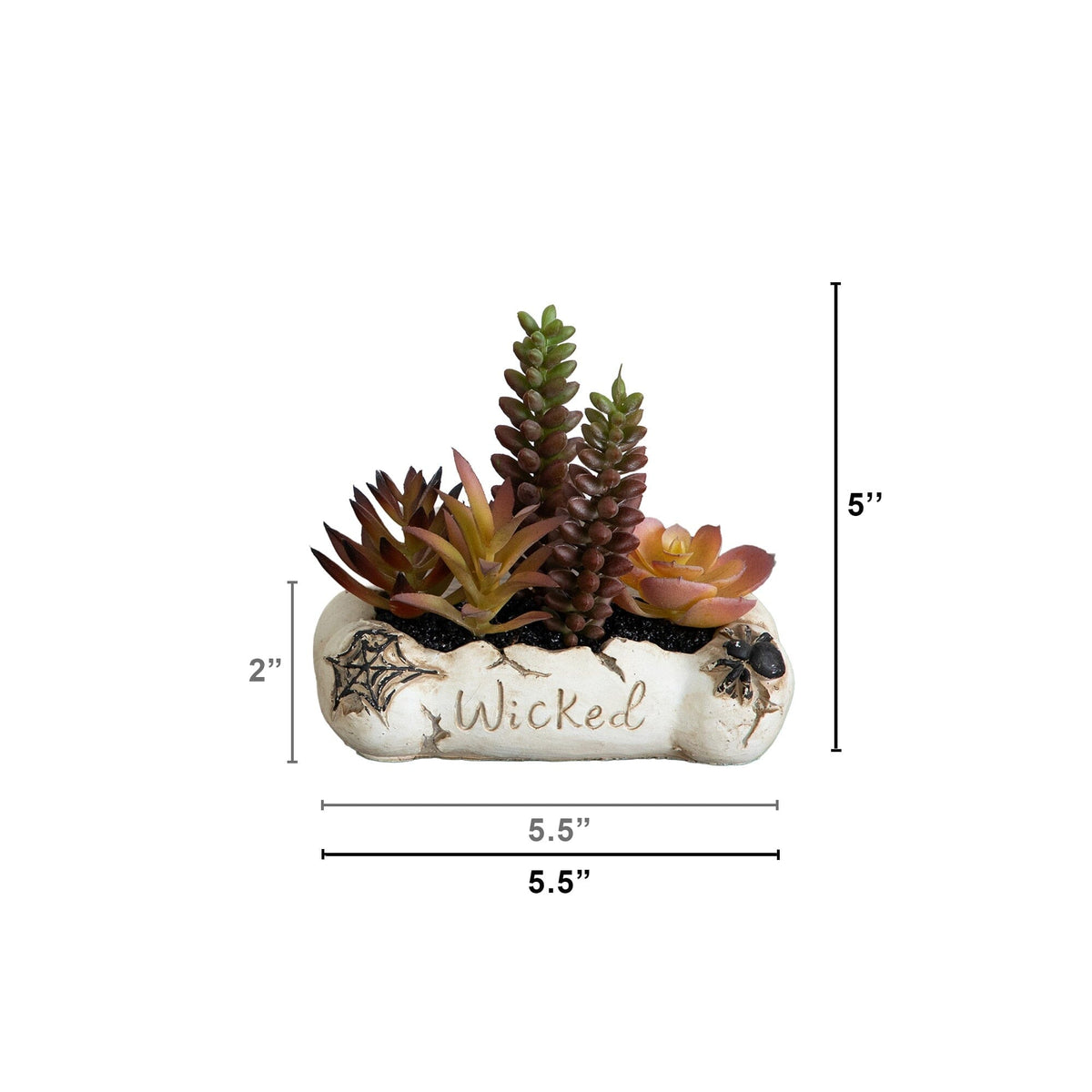 5” Artificial Halloween Succulent Garden in Haunted Planter - Set of 2