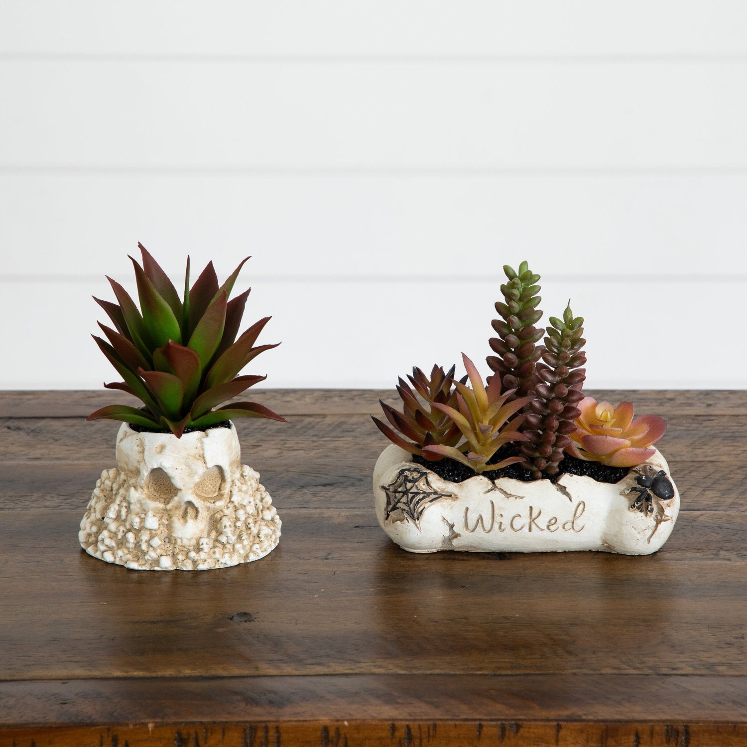 5” Artificial Halloween Succulent Garden in Haunted Planter - Set of 2