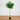 5' Artificial Petite Audrey Ficust Tree