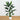 5' Artificial Sky Bird Tree in White Decorative Planter
