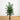 5' Bamboo Palm Artificial Silk Tree