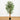 5' Fancy Style Bamboo Silk Tree