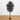 5' Artificial Halloween Black Ficus Tree with Natural Trunk