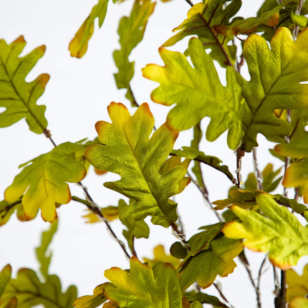 5' Pre-Lit Green Autumn Oak Artificial Fall Tree with 200 Warm White LED Lights