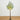5’ Lighted Artificial Eucalyptus Tree with 300 Warm White LED Lights