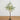 5’ Lighted Artificial Fruiting Olive Tree with 200 Warm White LED Lights