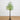 5’ Lighted Artificial Olive Tree with 300 Warm White LED Lights