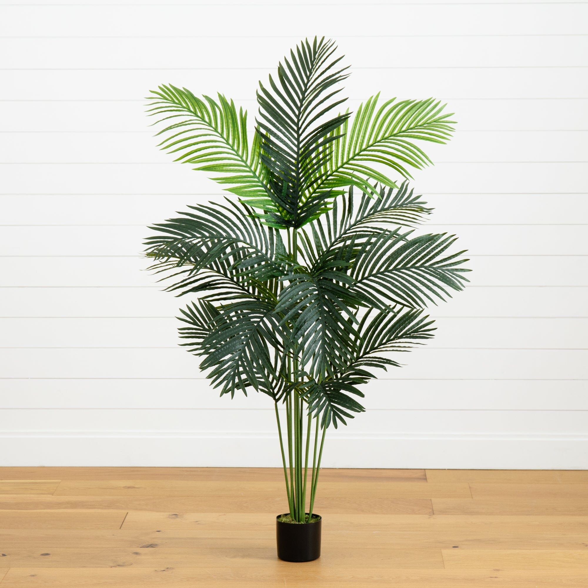 tabletop palm plant Nearly Natural 5 ft. Paradise Palm