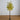 5' Pre-Lit Green Autumn Oak Artificial Fall Tree with 200 Warm White LED Lights