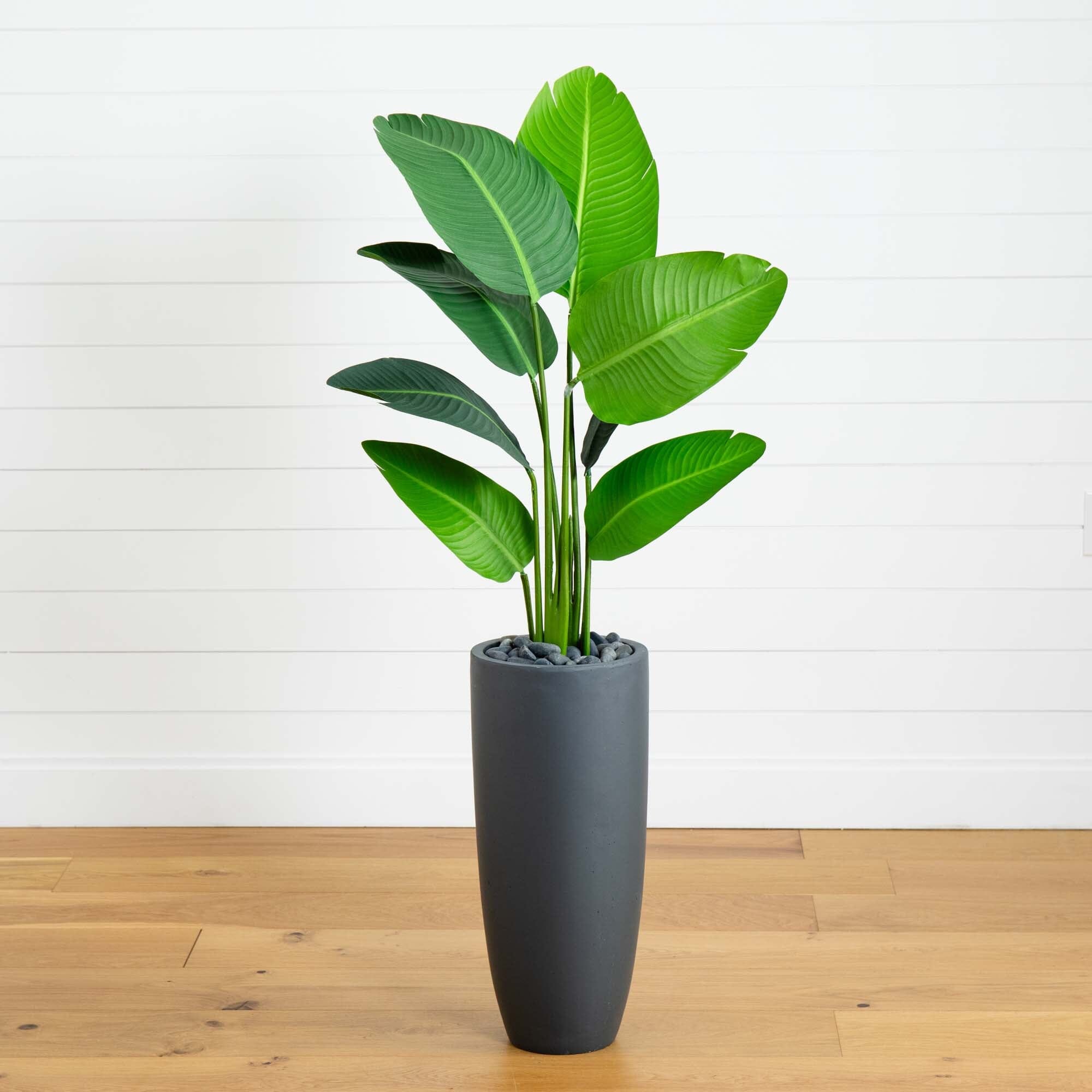 5.5’ Traveler's Palm Artificial Tree in Gray Planter Nearly Natural