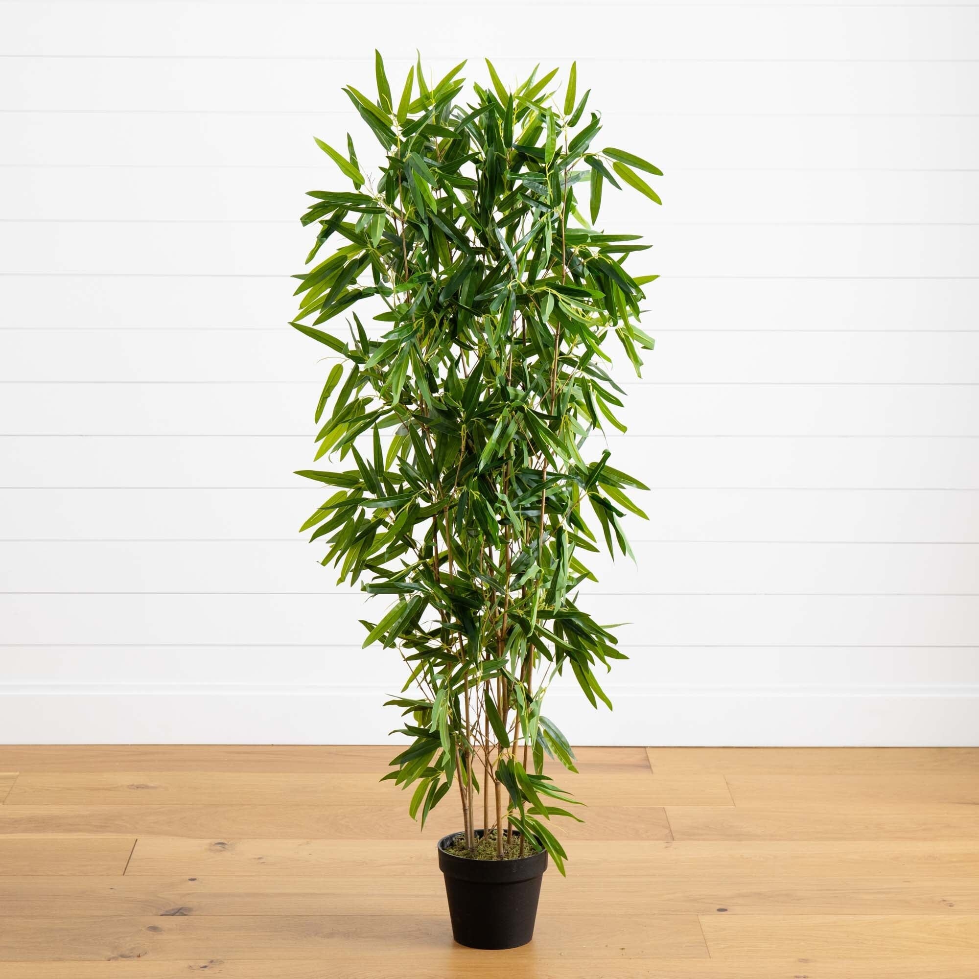 true bamboo vs lucky bamboo Nearly Natural 57in. Bamboo Artificial Tree (Real Touch) UV Resistant (Indoor/Outdoor)