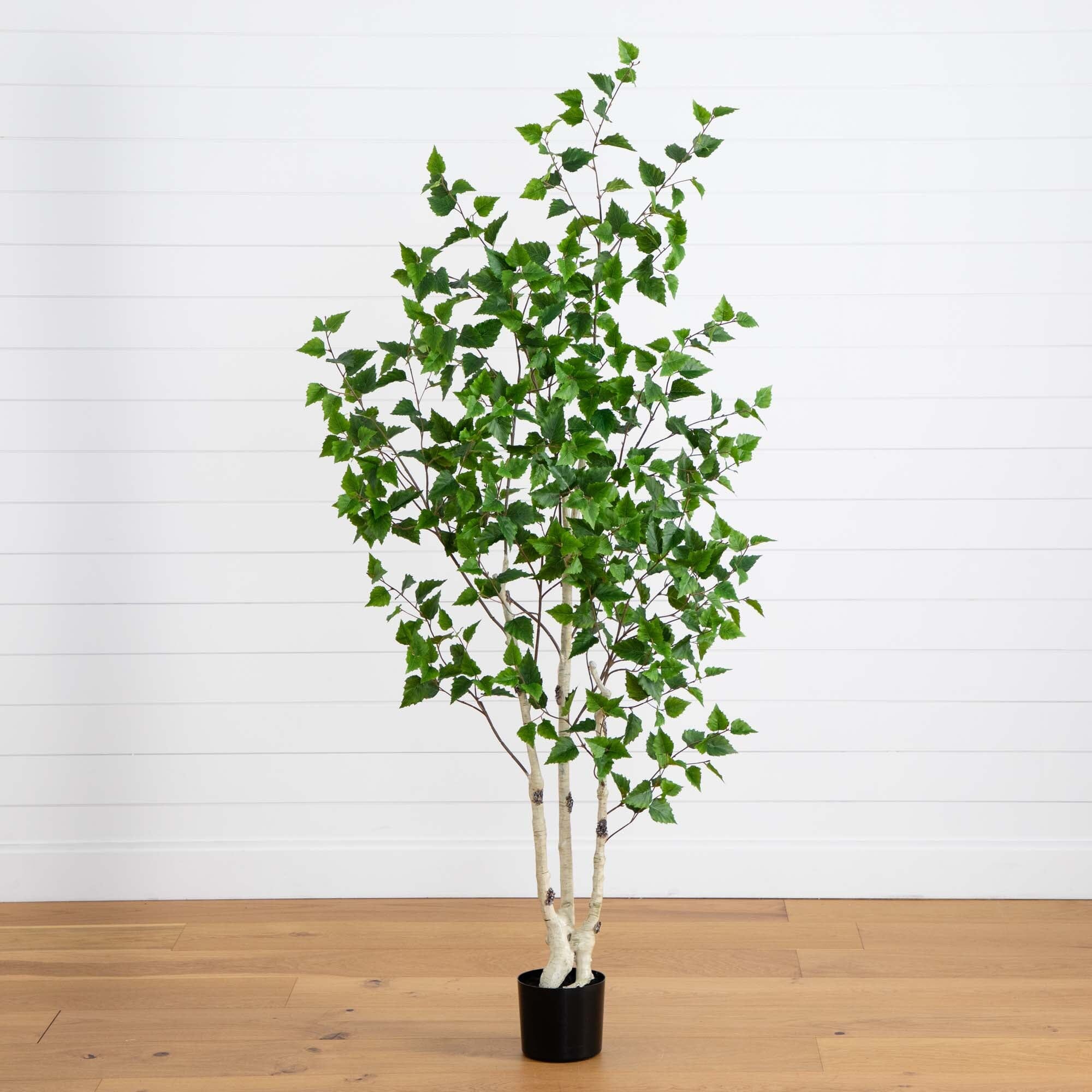 birch tree plant Nearly Natural 6' Artificial Birch Tree with Real Touch Leaves