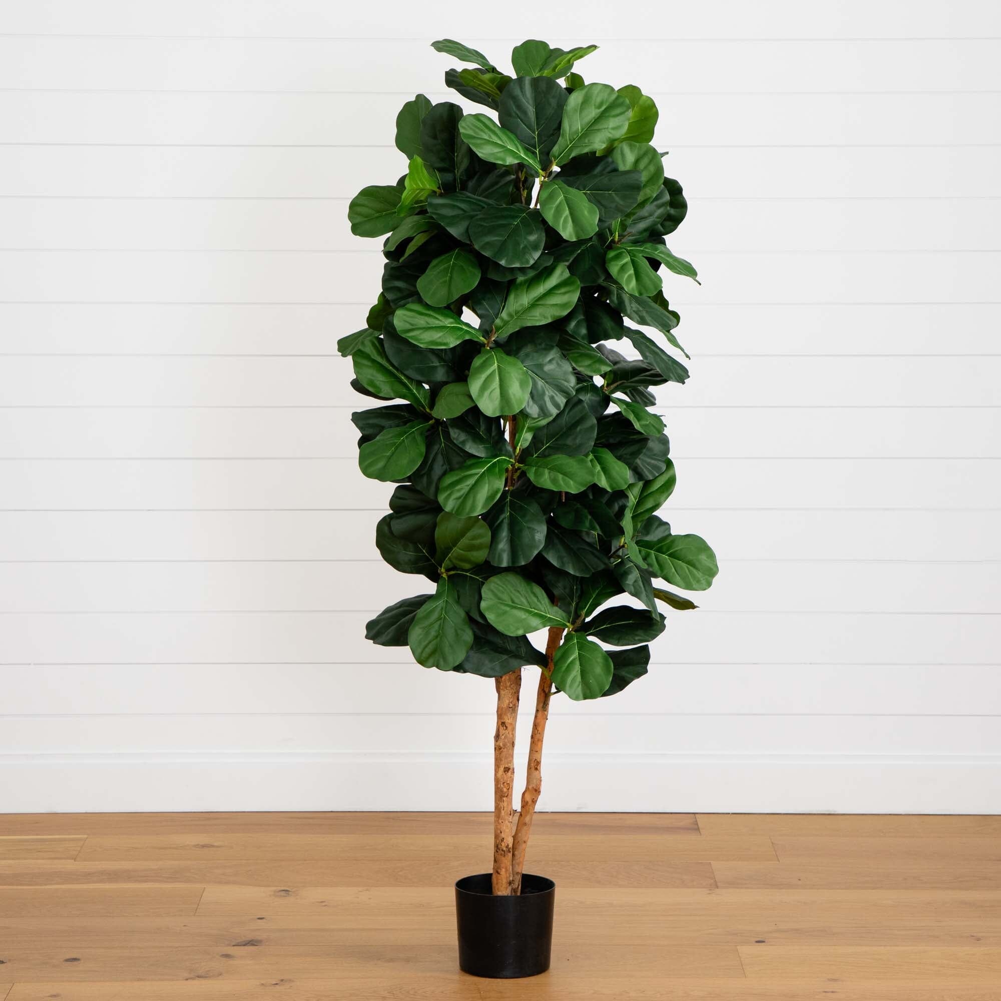 6' Fiddle Leaf Fig Artificial Tree | Nearly Natural
