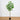 6’ Artificial Greco Citrus Tree with Real Touch Leaves