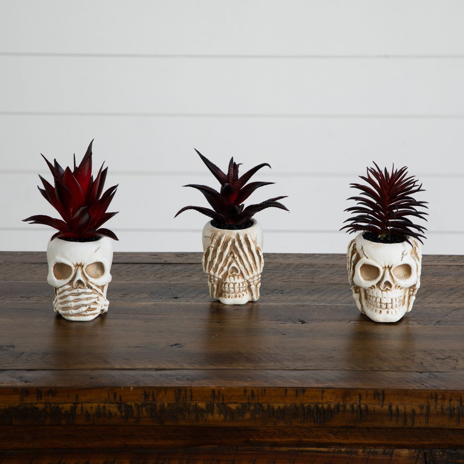 6” Artificial Halloween Speak, Hear, See No Evil Succulent Plant Skull Decor - Set of 3