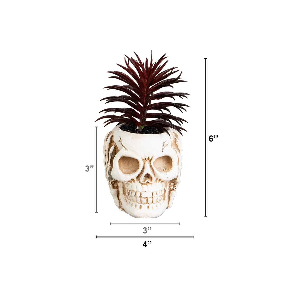 6” Artificial Halloween Speak, Hear, See No Evil Succulent Plant Skull Decor - Set of 3