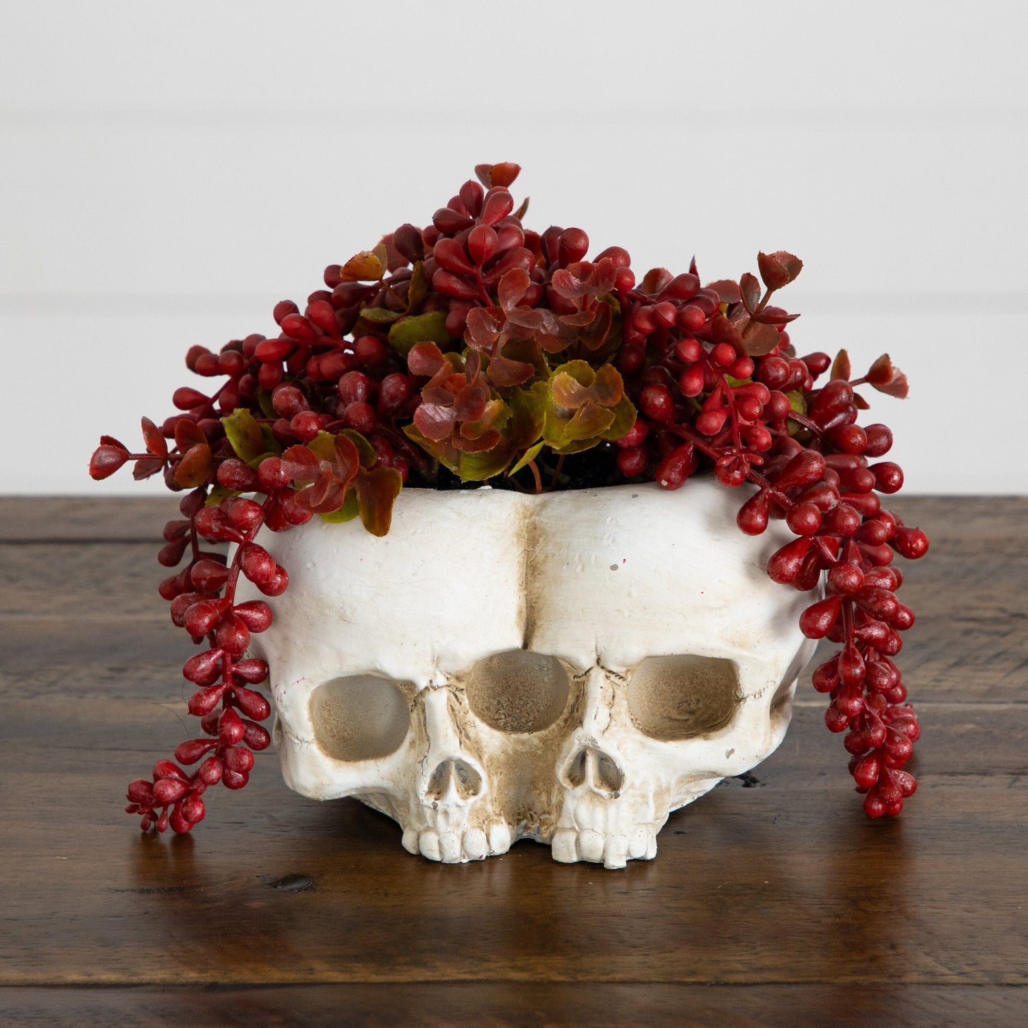 6” Artificial Halloween String of Pearls in Double Skull Planter