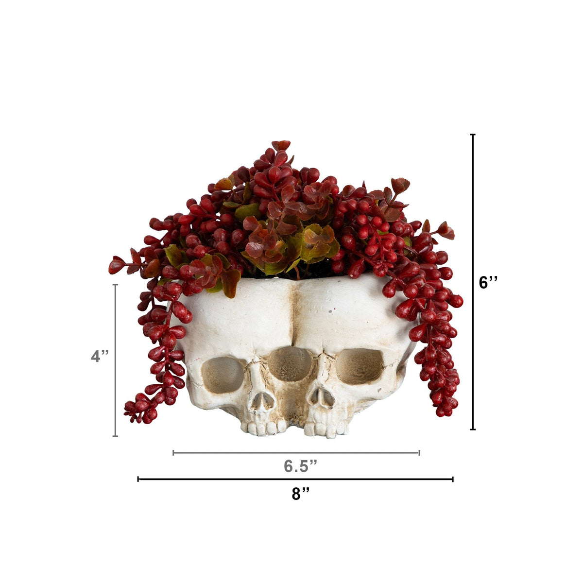 6” Artificial Halloween String of Pearls in Double Skull Planter