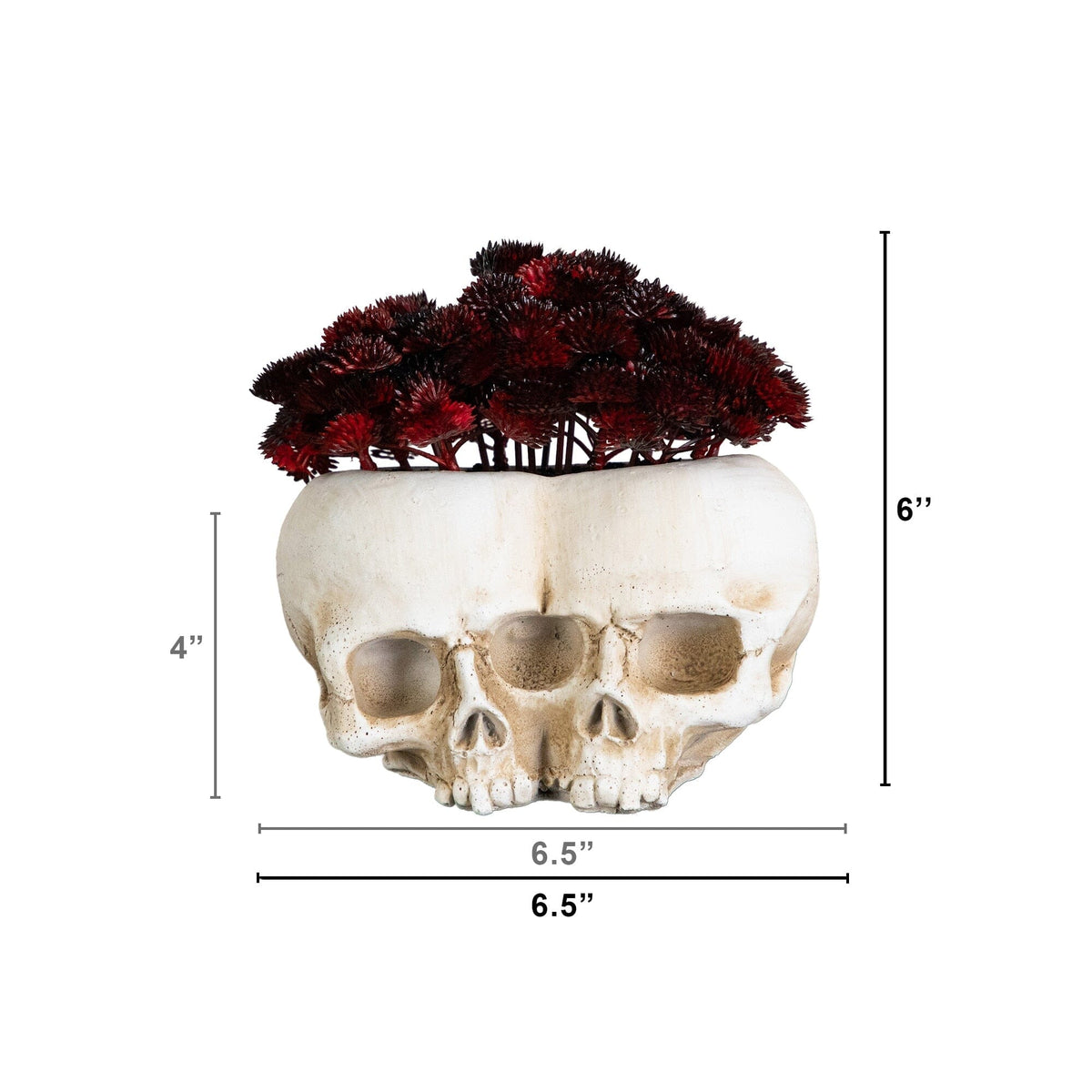 6” Artificial Halloween Succulent Plant in Double Skull Planter