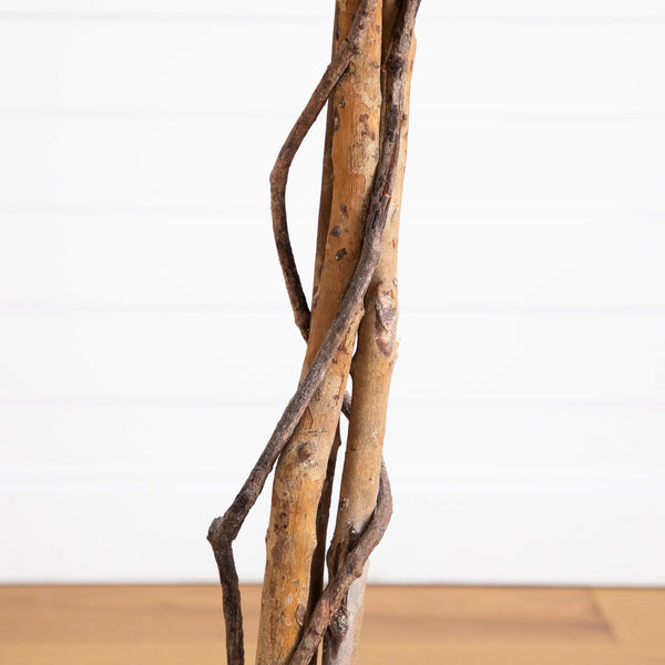 6' Artificial Halloween Black Ficus Tree with Natural Trunk