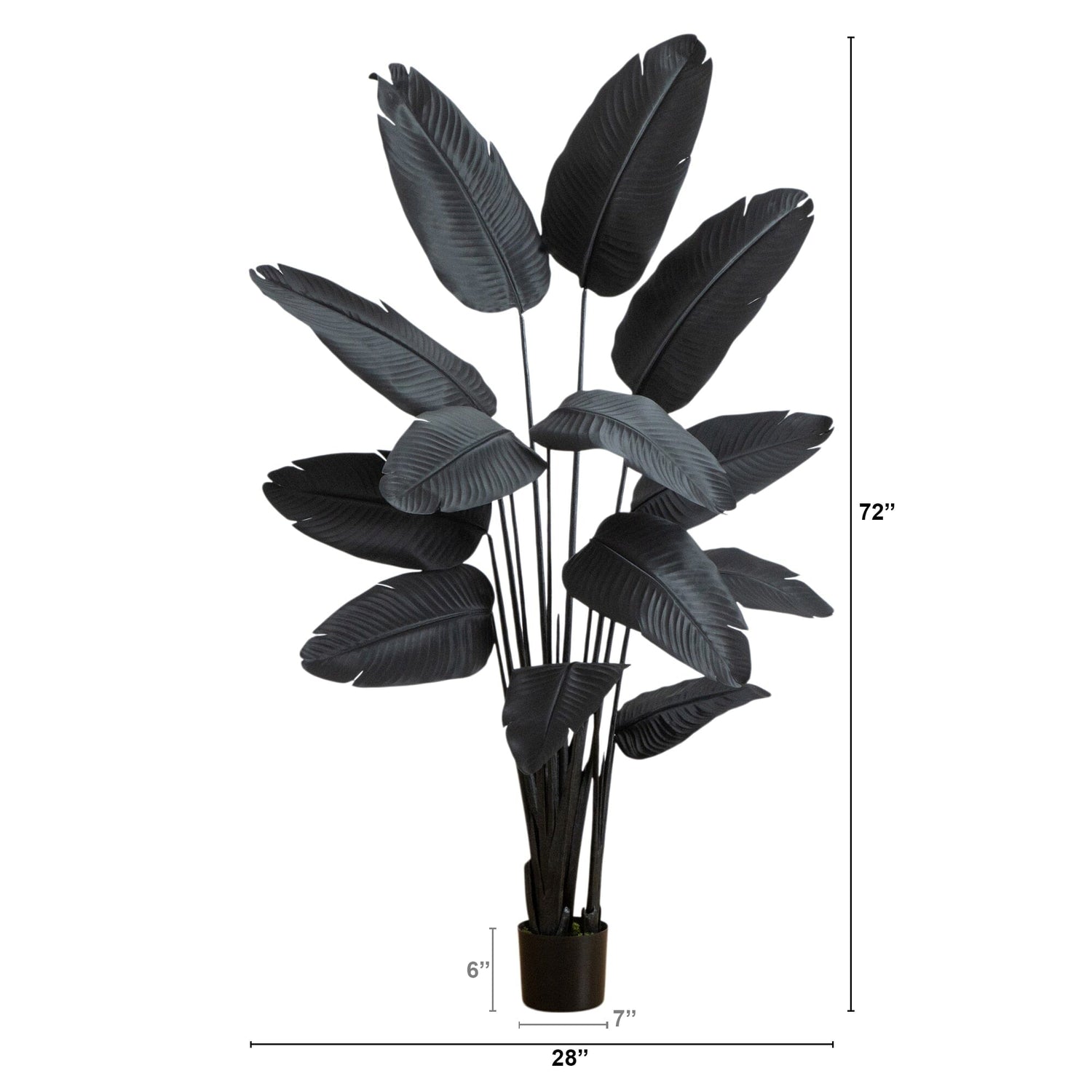 6' Artificial Halloween Black Travelers Palm Tree