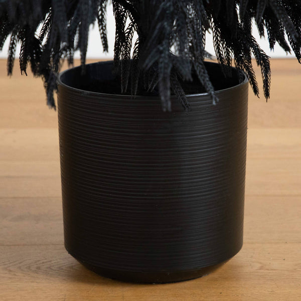 6' Artificial Halloween Real Touch Black Norfolk Pine Christmas Tree with Natural Look