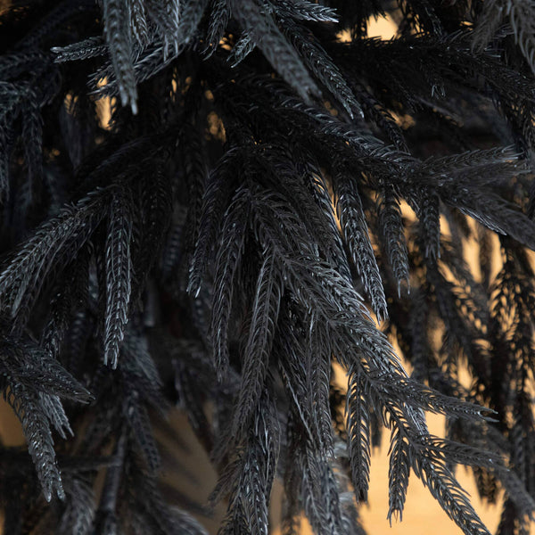 6' Artificial Halloween Real Touch Black Norfolk Pine Christmas Tree with Natural Look