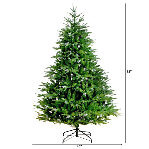 6' Pre-Lit Artificial Luxembourg Pine Christmas Tree with 250 Multicolored Traditional Bulb LED Lights