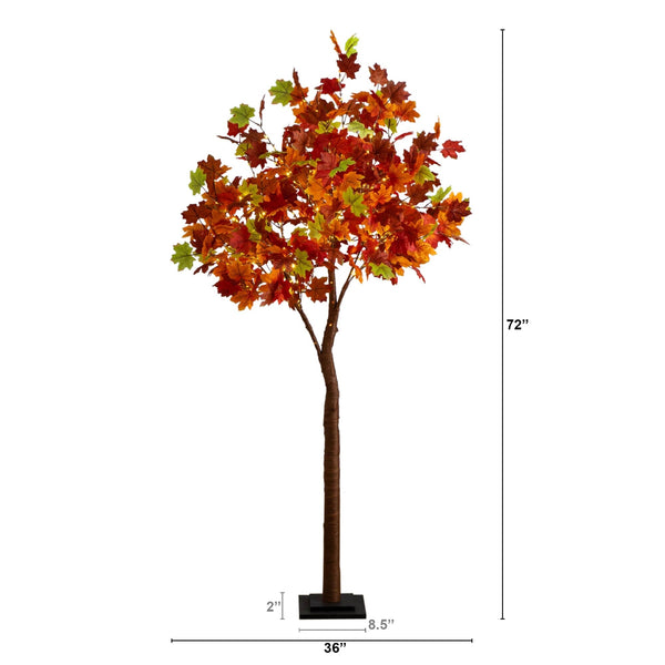 6' Pre-Lit Shades of Autumn Maple Artificial Fall Tree with 360 Warm White LED Lights