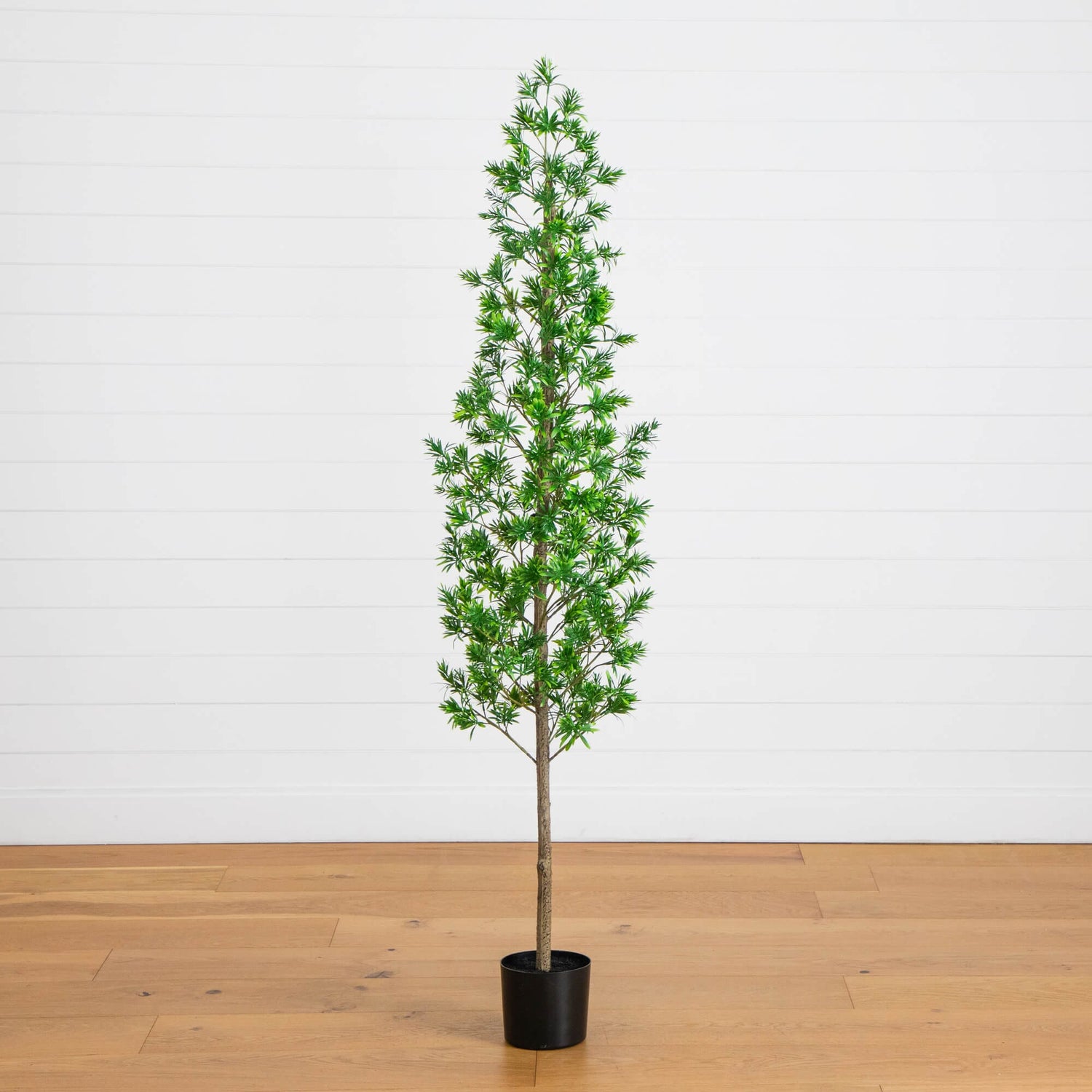 6' UV Artificial Podocarpus Artificial Tree (Indoor/Outdoor)