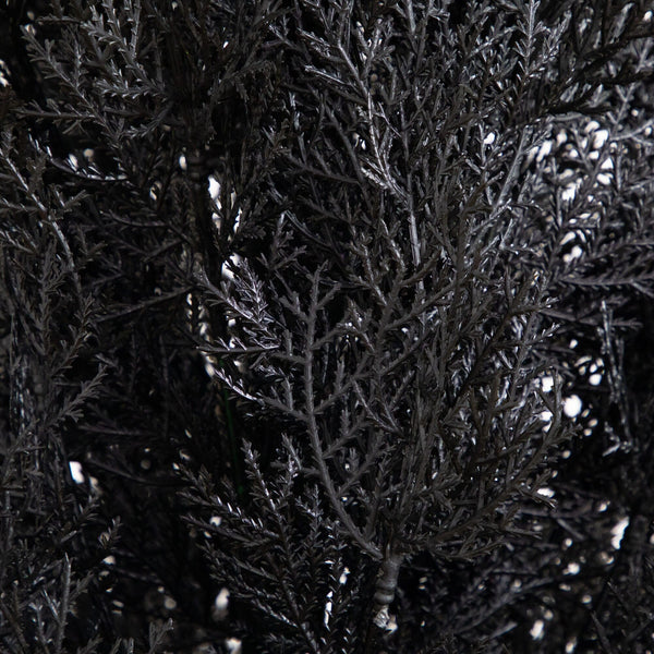 6' UV Resistant Artificial Halloween Black Cedar Tree (Indoor/Outdoor)