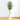 6' Olive Artificial Tree in White Tower Planter