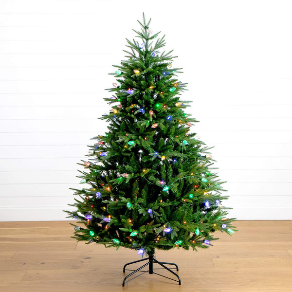 6' Pre-Lit Artificial Luxembourg Pine Christmas Tree with 250 Multicolored Traditional Bulb LED Lights