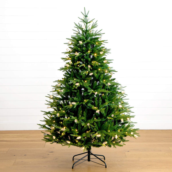 6' Pre-Lit Artificial Luxembourg Pine Christmas Tree with 250 Multicolored Traditional Bulb LED Lights