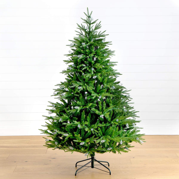 6' Pre-Lit Artificial Luxembourg Pine Christmas Tree with 250 Multicolored Traditional Bulb LED Lights