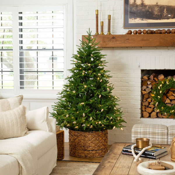 6' Pre-Lit Artificial Luxembourg Pine Christmas Tree with 250 Multicolored Traditional Bulb LED Lights